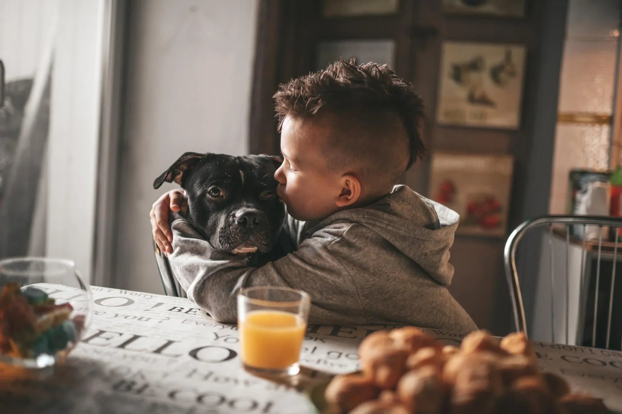 The Little Things That Make Your Pet’s Day Brighter